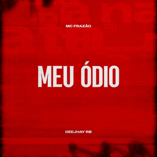 Meu Ódio