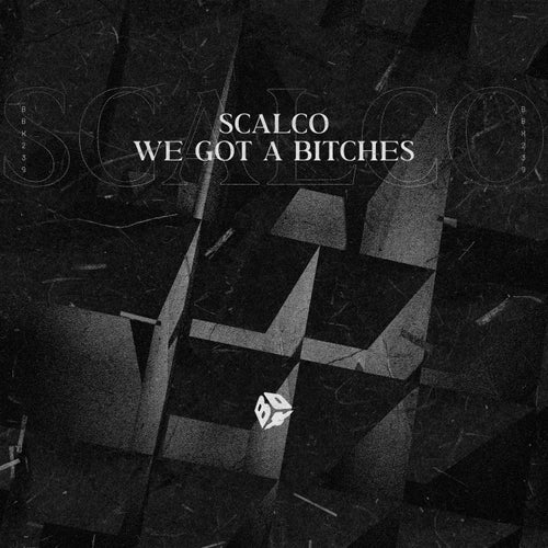We Got a Bitches