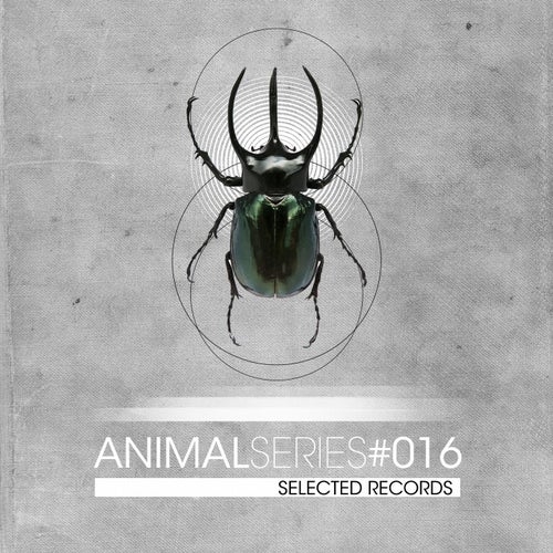 ANIMAL SERIES 016