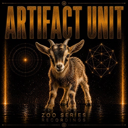 Artifact Unit