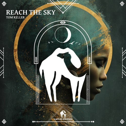Reach the Sky