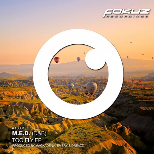 Too Fly EP