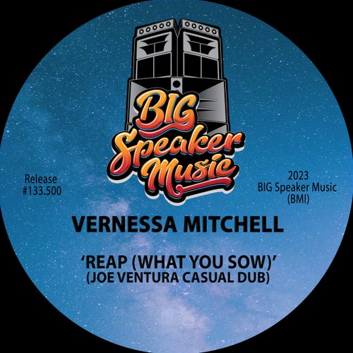 Reap (What You Sow) (Joe Ventura Casual Dub)
