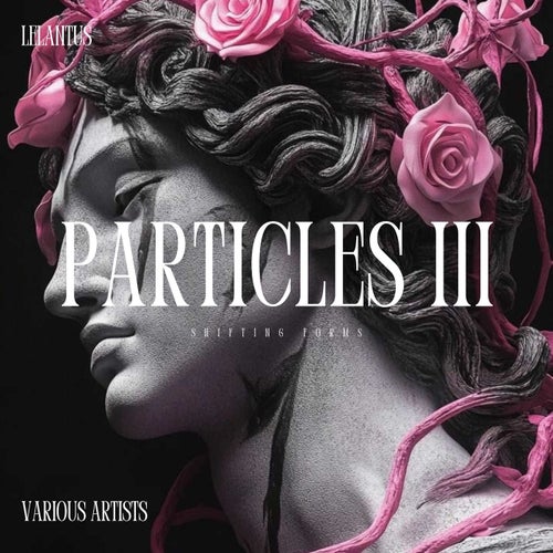Particles III