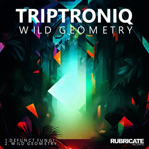 Wild Geometry EP