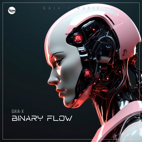 Binary Flow