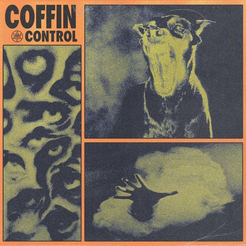 Cover art for Control