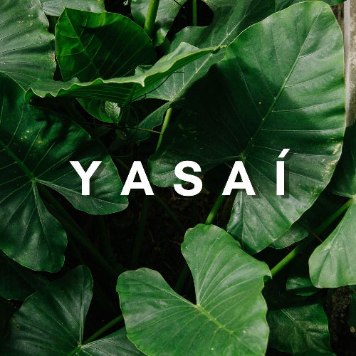 Yasaí Records
