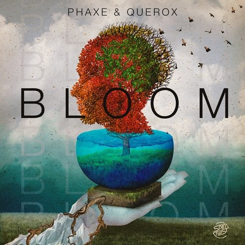 Cover art for Bloom