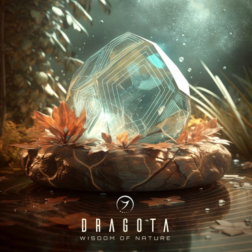  Dragota - Wisdom Of Nature (2023) 
