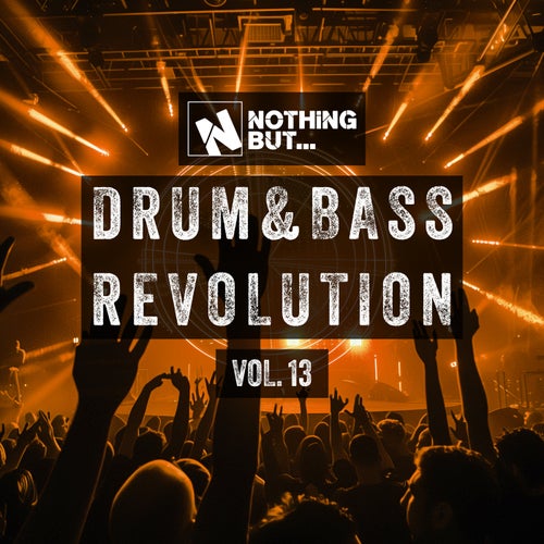 Nothing But... Drum & Bass Revolution, Vol. 13