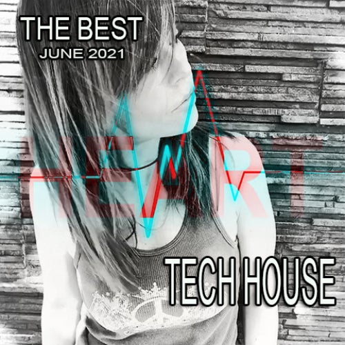 RECOMMENDATIONS JUNE 2021 TECH HOUSE