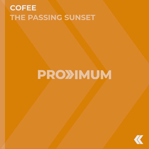 The Passing Sunset