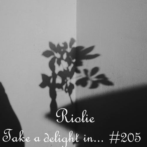 Take a delight in... #205
