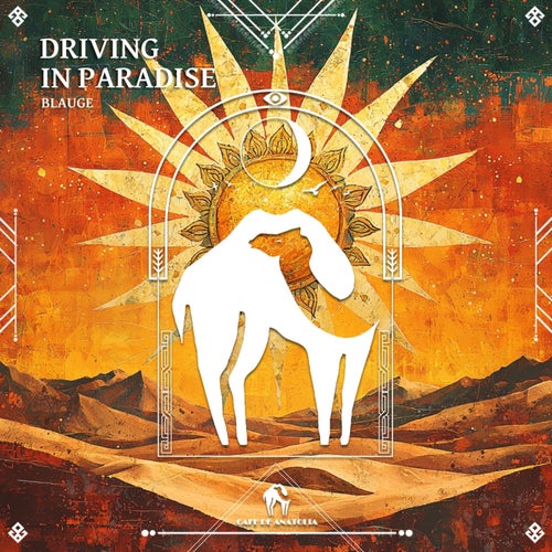Driving in Paradise