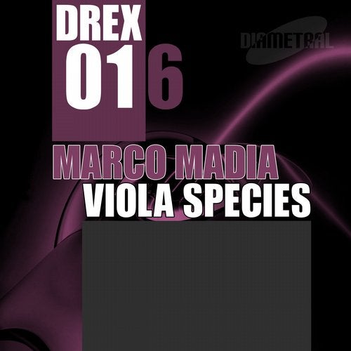 Cover art for Viola Species