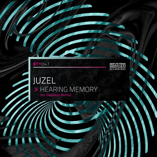 Hearing Memory