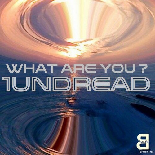 Cover art for What Are You?