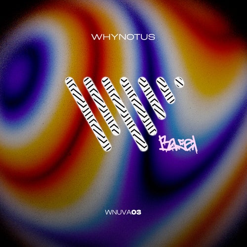 WHYNOTUS Art Basel 2025 VA (Extended Mixes)