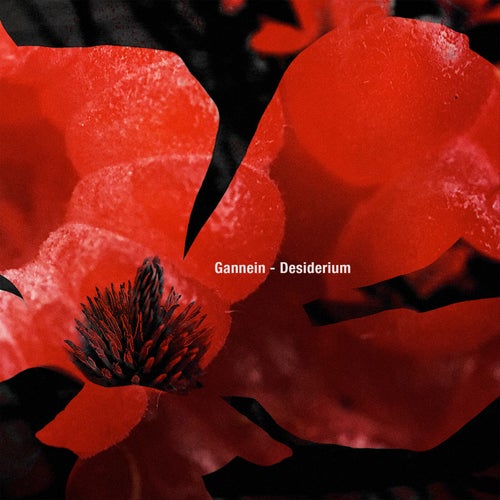 Desiderium