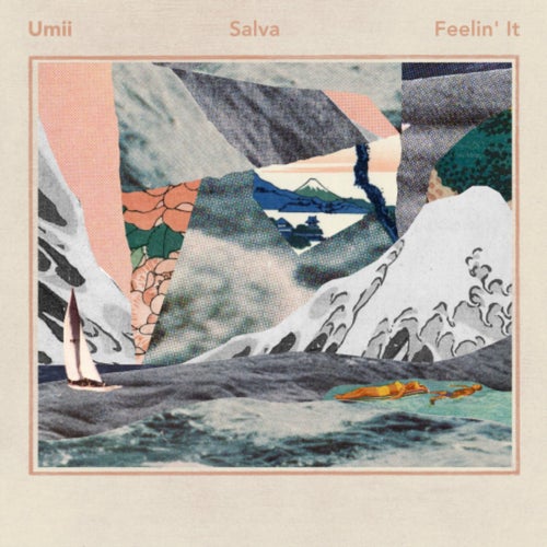 Feelin' It (Salva Remix)