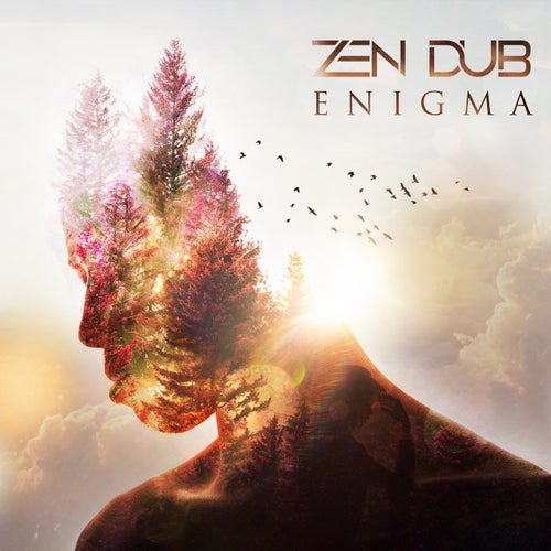 Enigma