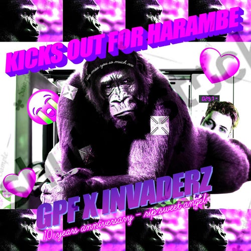 KICKS OUT FOR HARAMBE (10 YEAR MEMORIAL RIP SWEET PRINCE)
