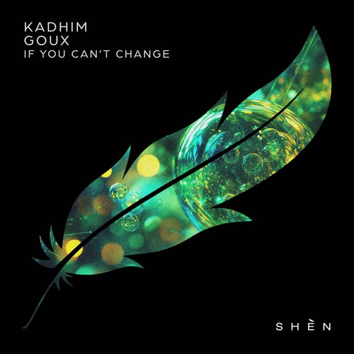 If You Can’t Change