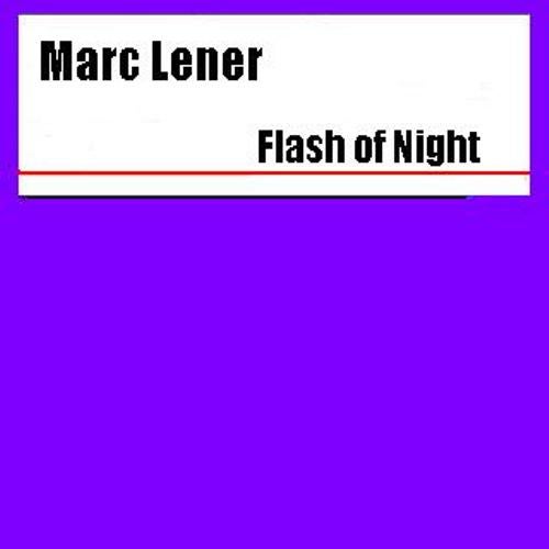 Flash Of Night