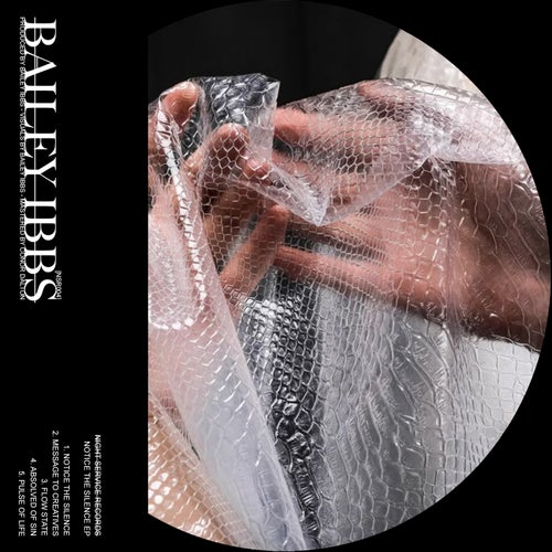 Notice The Silence EP