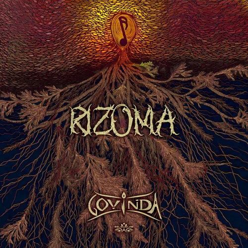 Rizoma