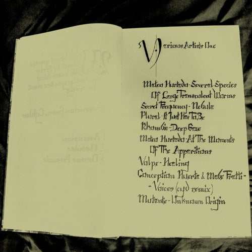 VA #1