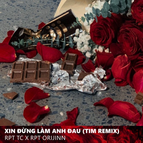 Xin Đừng Làm Anh Đau (TIM Remix)