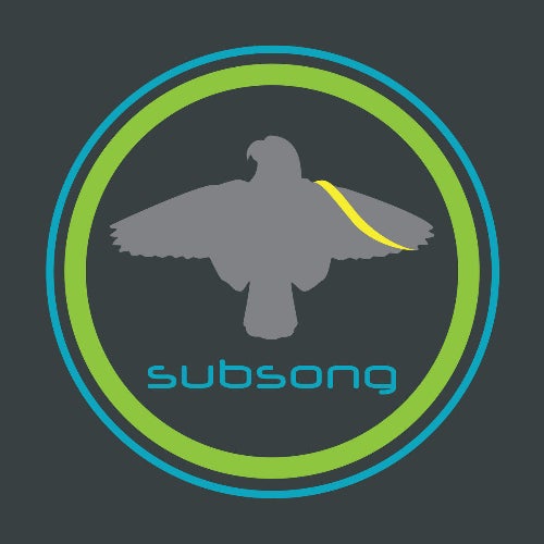 subsong