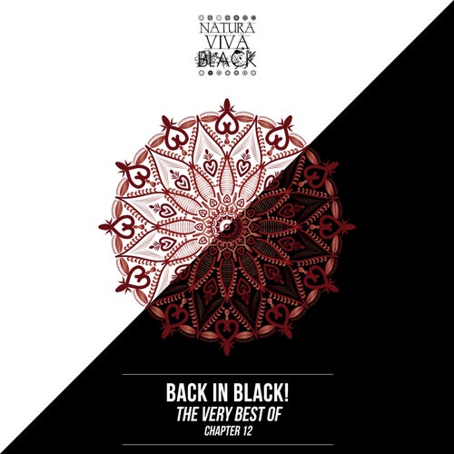 Back In Black! (The Very Best Of) Chapter 12