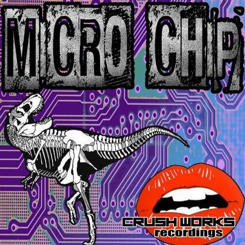 Micro Chip EP