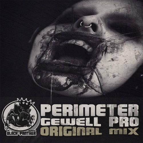 Perimeter