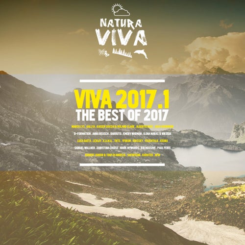 Viva 2017.1