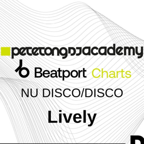 PTDJA - Record Bag Nu Disco - Disco