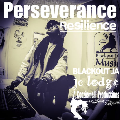 Perseverance Resilience