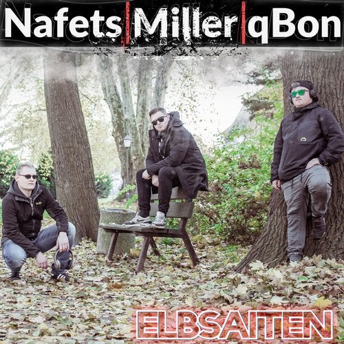 Cover art for Elbsaiten