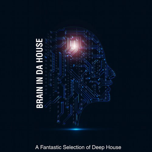 Brain in Da House - a Fantastic Selection of Deep House