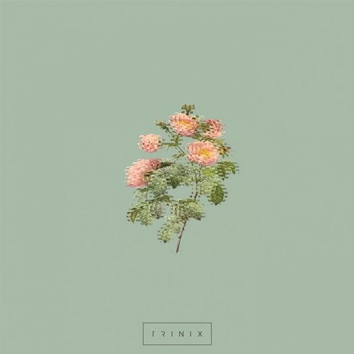 Cover art for Everything