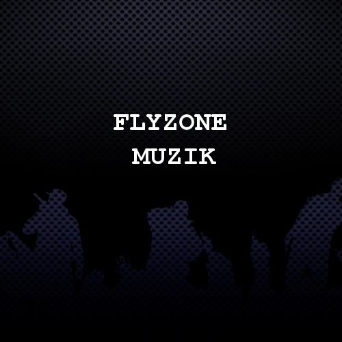 Flyzone Muzik