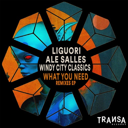 What You Need ( Remixes EP )