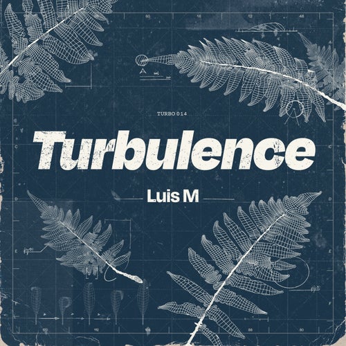 Turbulence