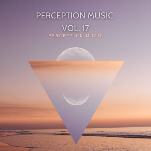 Cover art for Perception Music Vol. 17