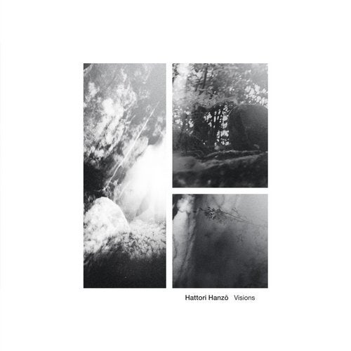 Cover art for Visions