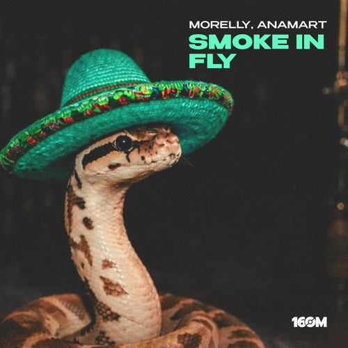 Smoke In Fly