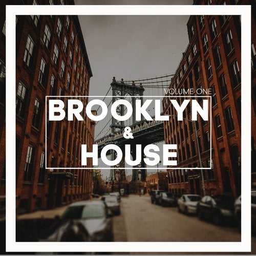 Cover art for Brooklyn & House, Vol. 1
